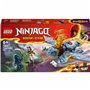 Set de construction Lego Ninjago Young Dragon Riyu