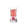 Désodorisant Fruits rouges 150 g Gel (12 Unités)