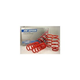 Kit de Ressorts Cobra COB002828 40 / 40 mm