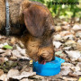 Bouteille avec Distributeur d'Eau et d'Aliments pour Animaux 2 en 1 18,99 €