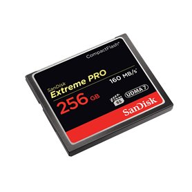 Carte Mémoire Micro SD avec Adaptateur SanDisk SDCFXPS-256G-X46 256 GB