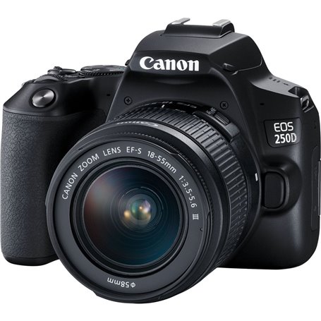 Canon EOS 250D + EF-S 18-55mm f/3.5-5.6 III Kit d'appareil-photo SLR 24