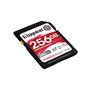 Carte Mémoire SDXC Kingston SDR2V6/256GB 256 GB