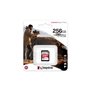 Carte Mémoire SDXC Kingston SDR2V6/256GB 256 GB