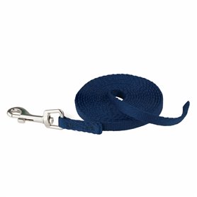 Laisse pour Chien Coachi Bleu 2