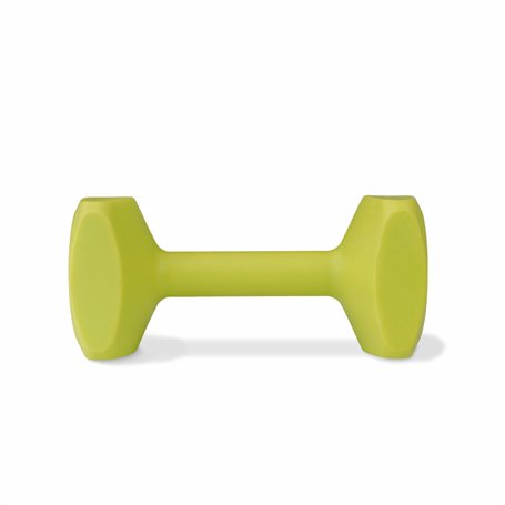 Haltère Coachi TRAINING DUMBBELL 12 Plastique