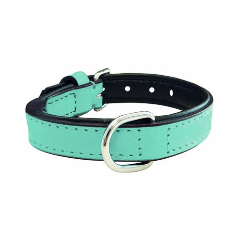 Collier pour Chien Gloria 30 cm Rembourré Cuir Bleu