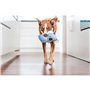 Jouet pour chien Red Dingo 20 cm Koala Intérieur/Extérieur