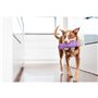 Jouet pour chien Red Dingo Intérieur/Extérieur