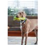 Jouet pour chien Red Dingo 27,5 cm Crocodile Intérieur/Extérieur