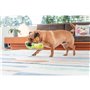 Jouet pour chien Red Dingo 27,5 cm Crocodile Intérieur/Extérieur
