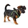 Harnais pour Chien Hunter Comfort Vert M 55-60 cm