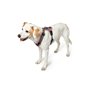 Harnais pour Chien Hunter Maldon Up Rose 46-82 cm S/M