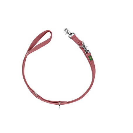 Laisse pour Chien Hunter Rouge 2 m Réglable