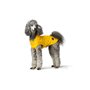 Manteau pour Chien Hunter Milford Jaune 50 cm