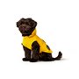 Manteau pour Chien Hunter Milford Jaune 30 cm