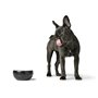 Mangeoire pour chiens Hunter Noir Céramique Silicone 310 ml Moderne