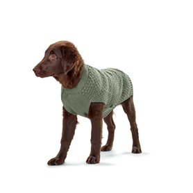 Pull pour chien Hunter Malmö Vert