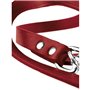 Laisse pour Chien Hunter Rouge 2 m Réglable Cuir