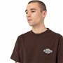 T-shirt à manches courtes homme Dickies Ss Ruston Marron