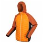 Veste de Sport pour Homme Regatta Andreson VIII Hybrid Orange