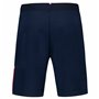 Short de Sport pour Homme Le coq sportif Tri Regular N°1 Sky  Bleu