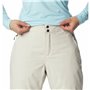 Pantalons de neige Columbia Shafer Canyon Beige