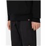 Sweat à capuche homme Dickies Hays Noir