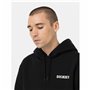 Sweat à capuche homme Dickies Hays Noir