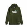 Sweat à capuche homme Puma Ess+ 2 Col Big Logo Vert foncé