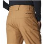 Pantalons de neige Columbia Bugaboo IV regular Marron Homme