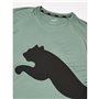 T-shirt à manches courtes homme Puma 523863 44 Vert (M)