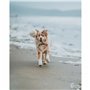 Jouet pour chien Benebone animaux