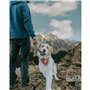 Jouet pour chien Benebone animaux