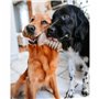 Jouet pour chien Benebone Marron animaux