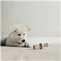 Jouet pour chien Benebone Marron animaux