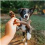 Jouet pour chien Benebone Marron animaux