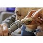Disques abrasifs Dremel PG10 Lime à ongles Chien (10 Unités)