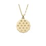Collier Femme Fossil JF04382710