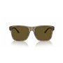 Lunettes de soleil Homme Emporio Armani EA 4208