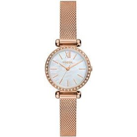 Montre Femme Fossil TILLIE MINI (Ø 26 mm)