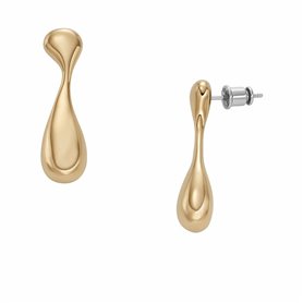 Boucles d´oreilles Femme Skagen SKJ1772710