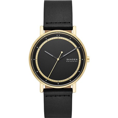 Montre Homme Skagen SIGNATUR (Ø 40 mm)