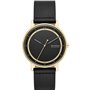 Montre Homme Skagen SIGNATUR (Ø 40 mm)