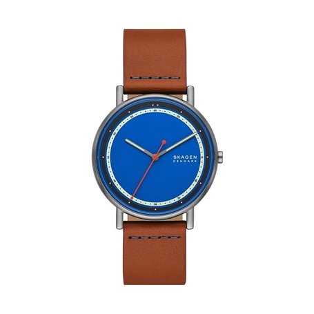 Montre Homme Skagen SIGNATUR (Ø 40 mm)
