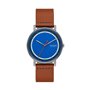 Montre Homme Skagen SIGNATUR (Ø 40 mm)