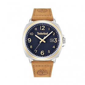 Montre Homme Timberland TDWLB0030201