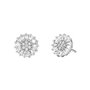 Boucles d´oreilles Femme Michael Kors MKC1633AN040