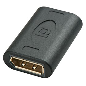 Lindy 41020 changeur de genre de câble DisplayPort Noir