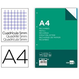 Rechange Liderpapel RE05 A4 100 Volets